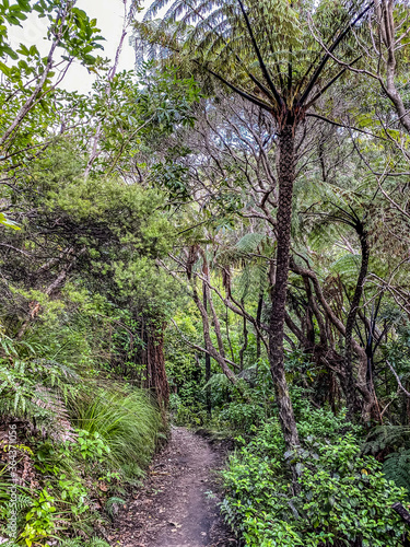 Nga Tapuwae o Toi, or the 'Footprints of Toi', is a walking trail between Whakatane and Ohope in New Zealand