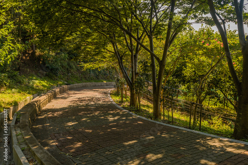 Shaded brick mountain walkway © aminkorea