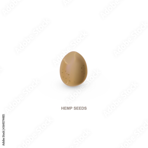 Realistic hemp seeds for healthy eating. Vector illustration.