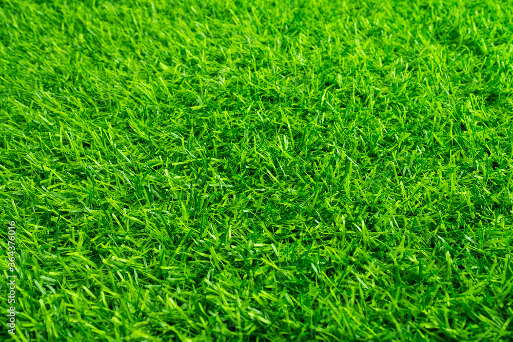 Fototapeta premium green grass background, football field 
