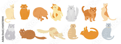 Fototapeta Naklejka Na Ścianę i Meble -  Cat character collection. Cute flat cartoon design set. Different kitty breeds, pet characters. Funny cats sitting, sleeping. Different colors, stripes spots. Hand drawn isolated vector illustration