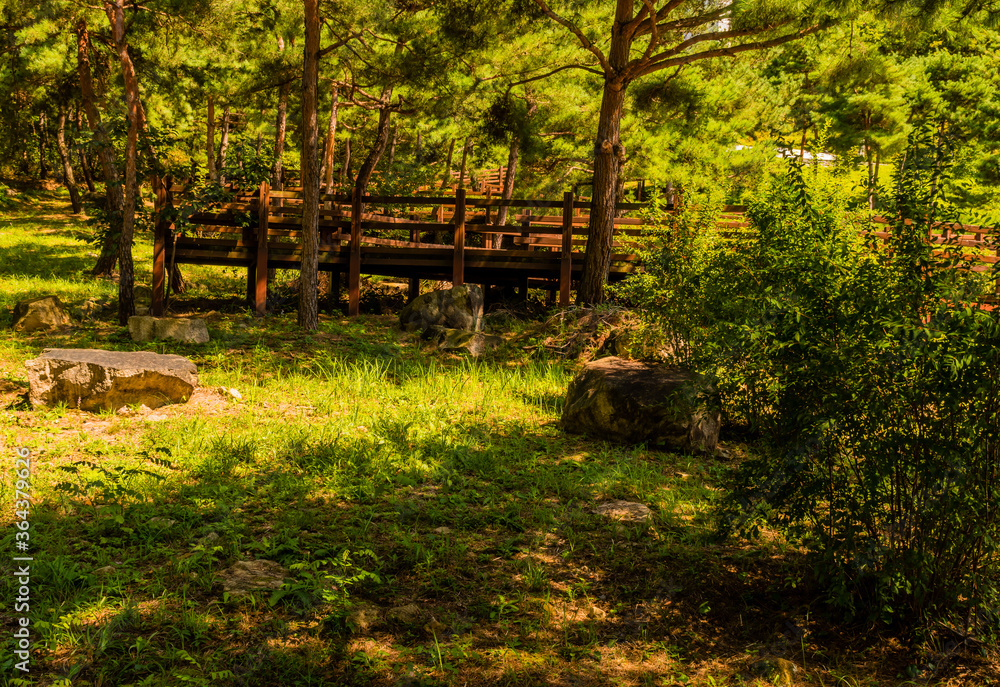 Wooden stairway in public park