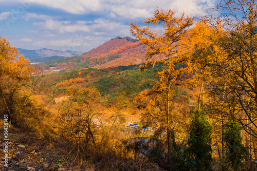 Valley with trees in beautiful fall colors