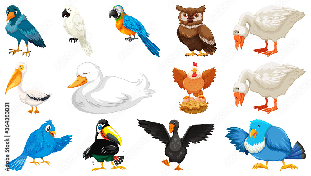 Set of different birds cartoon style isolated on white background Set of different birds cartoon style isolated on white background