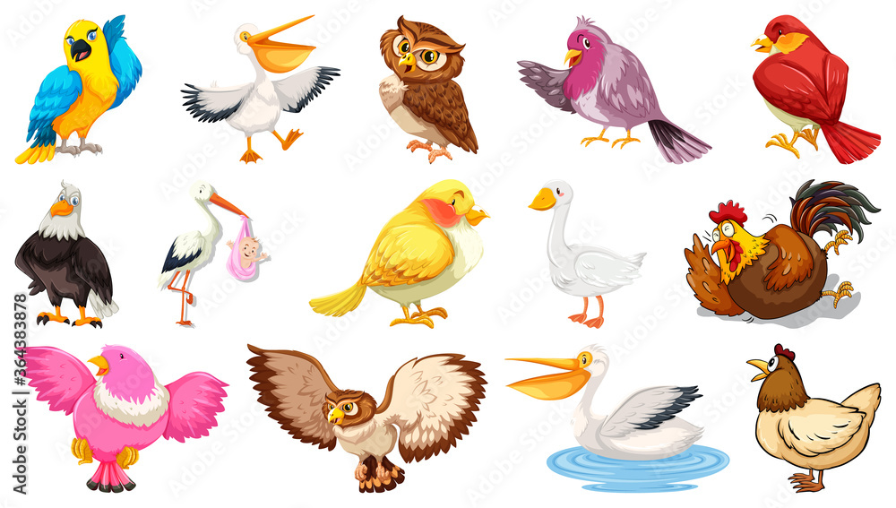 Obraz premium Set of different birds cartoon style isolated on white background