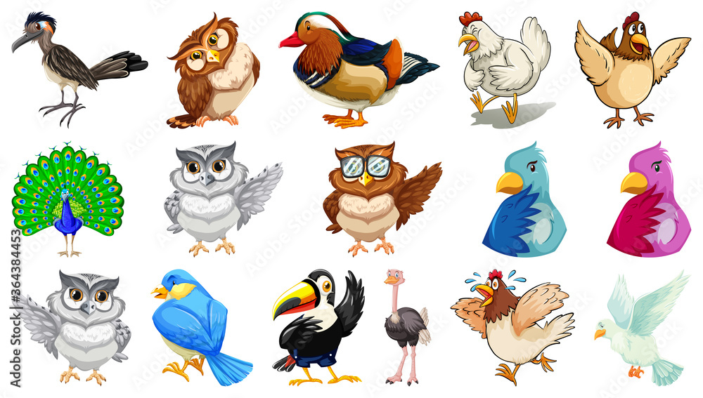 Obraz premium Set of different birds cartoon style isolated on white background