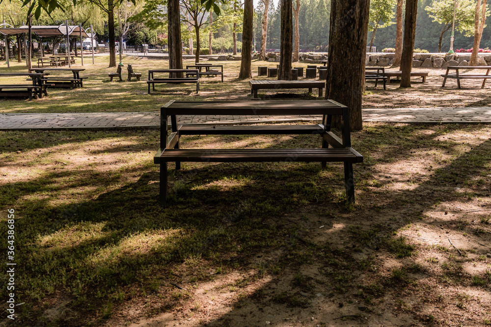 Wooden picnic tables shaded by trees