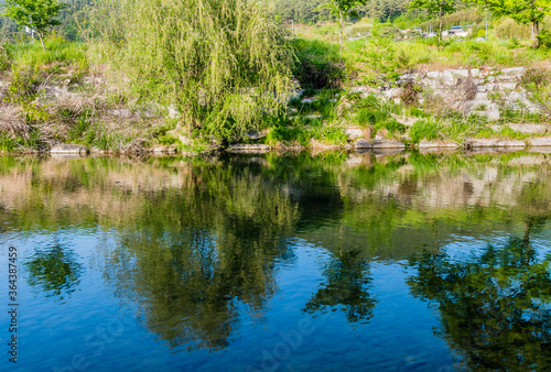 Calm river with trees on the river bank