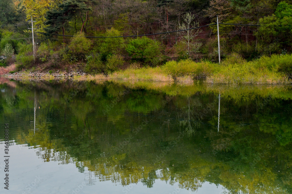 Landscape of trees and bushes on shore of country lake Landscape of trees and bushes on shore of country lake