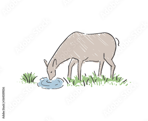 Design of doe drinking water