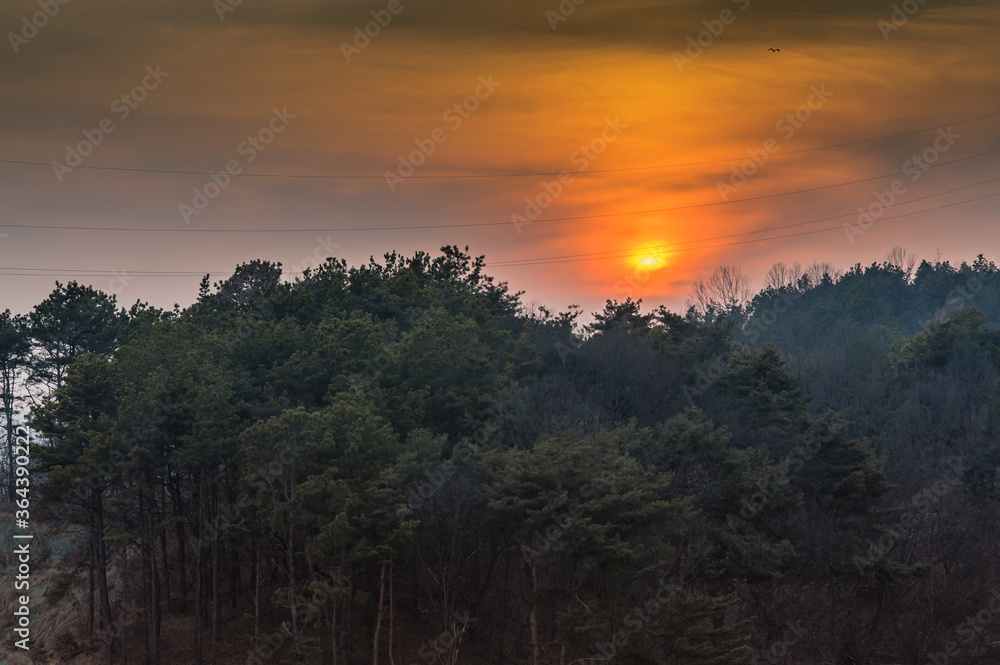 Sunset over a woodland park
