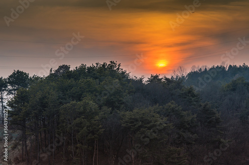 Sunset over a woodland park