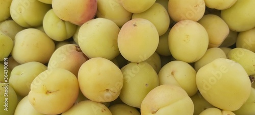 Full Juicy Organic Delicious Apricots Fruits