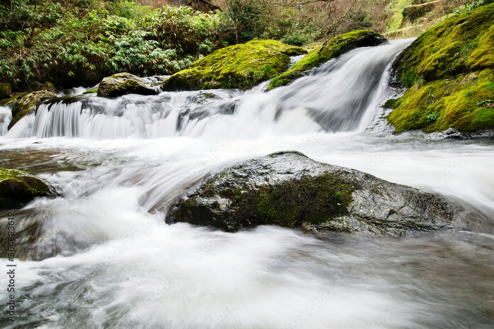 Fototapeta premium 竜頭八重滝県立自然公園の美しい清流（島根県）