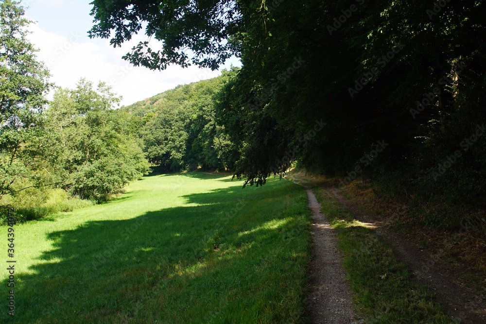 Weg am Waldrand und Feld Weg am Waldrand und Feld