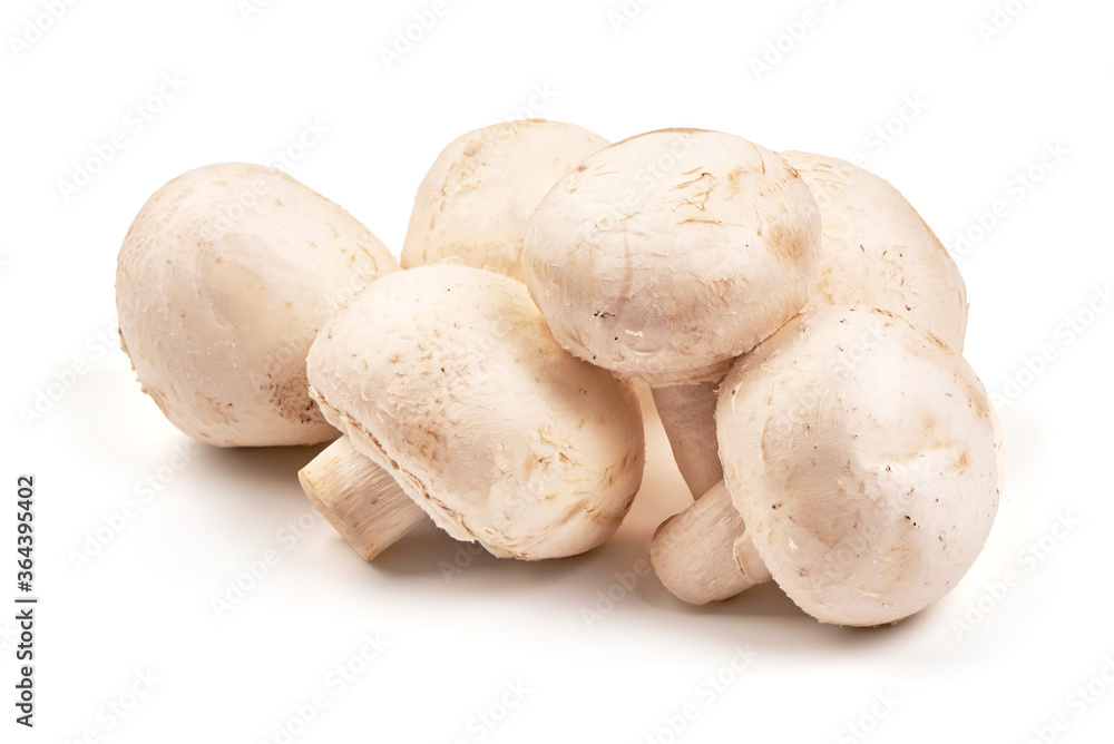 Champignons, close-up, isolated on white background