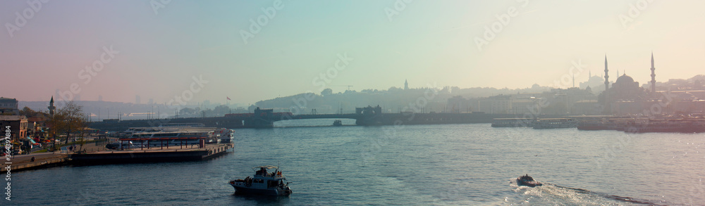 Naklejka premium Istanbul skyline