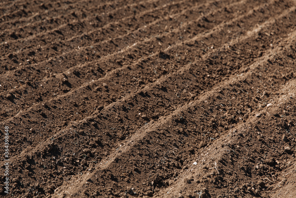 Plowed field. Agriculture, soil before sowing. Fertile land texture, rural field landscape Plowed field. Agriculture, soil before sowing. Fertile land texture, rural field landscape