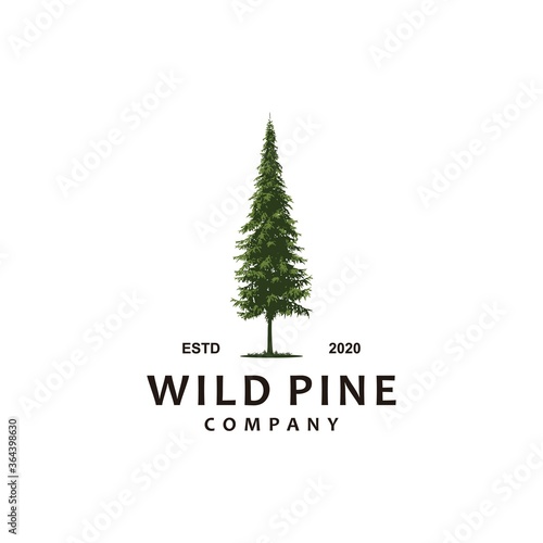 wild pine forest logo illustration