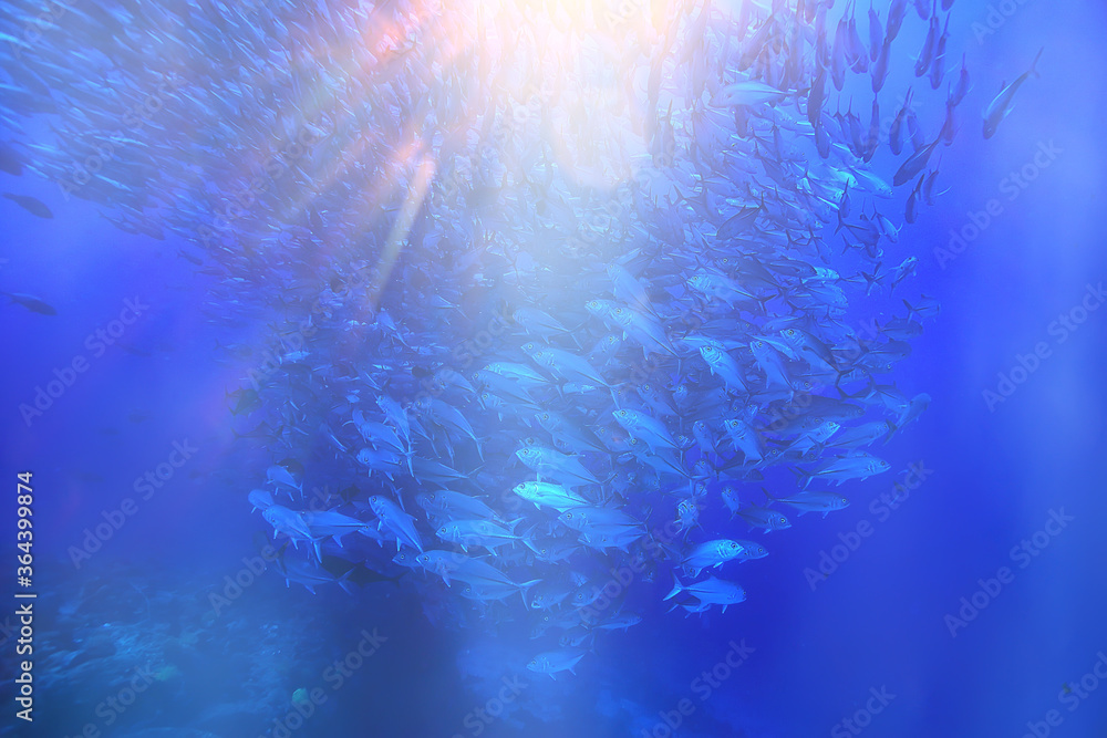 sun rays scuba reef / blue sea, abstract background, sunny day, rays in water sun rays scuba reef / blue sea, abstract background, sunny day, rays in water
