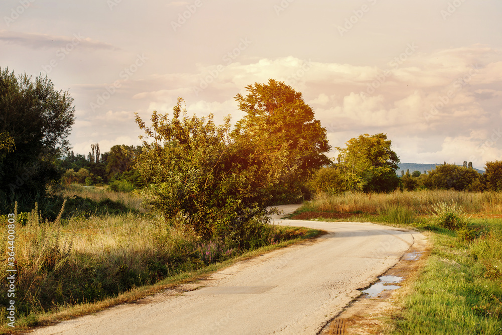 Rural landscape with curve country asphalt road