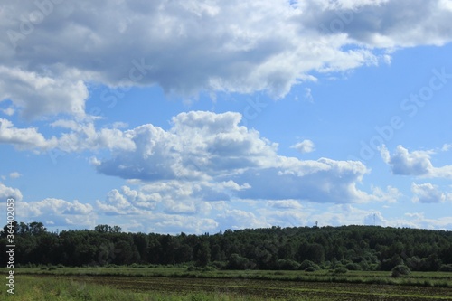 Beautiful summer landscape. Russia.