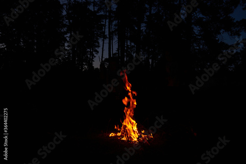 campfire in the woods in the dark. Outdoor recreation in field conditions. Test for survival in the wild
