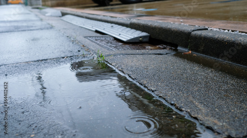 Wallpaper Mural 雨　側溝　水たまり Torontodigital.ca