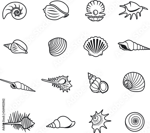 sea shell icon thin line © StevyG
