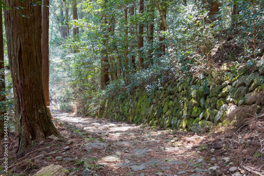 Obraz premium Okumotorigoe Route near Kumano Nachi Taisha on Kumano Kodo (Nakahechi Route) in Nachikatsuura, Wakayama, Japan. It is part of the UNESCO World Heritage Site.