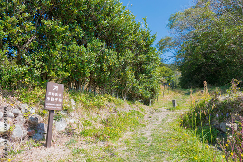 Kokuji-Toge Pass on Kumano Kodo  Nakahechi Route  in Nachikatsuura  Wakayama  Japan. It is part of the UNESCO World Heritage Site.