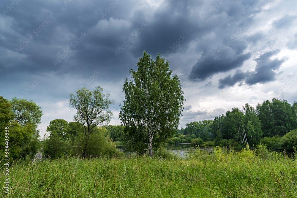 Cloudy summer landscape with trees, lawn, overgrown grass, and lake Cloudy summer landscape with trees, lawn, overgrown grass, and lake