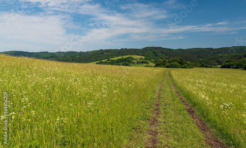 Beautiful Bile Karpaty mountains with mix of meadows, hills and forest on czech - slovakian borderlands