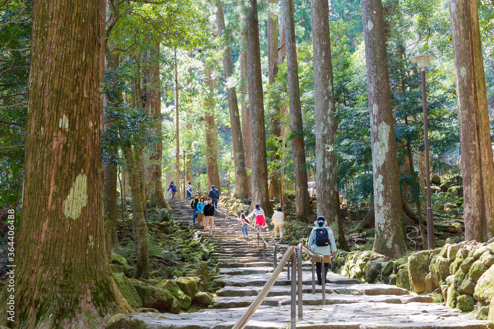 Φωτογραφία Approach to Nachi Falls in Nachikatsuura, Wakayama, Japan
