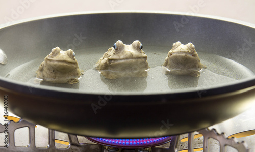 Ceramic frogs boiling in a frying pan on a stove - conceptual image in horizontal format