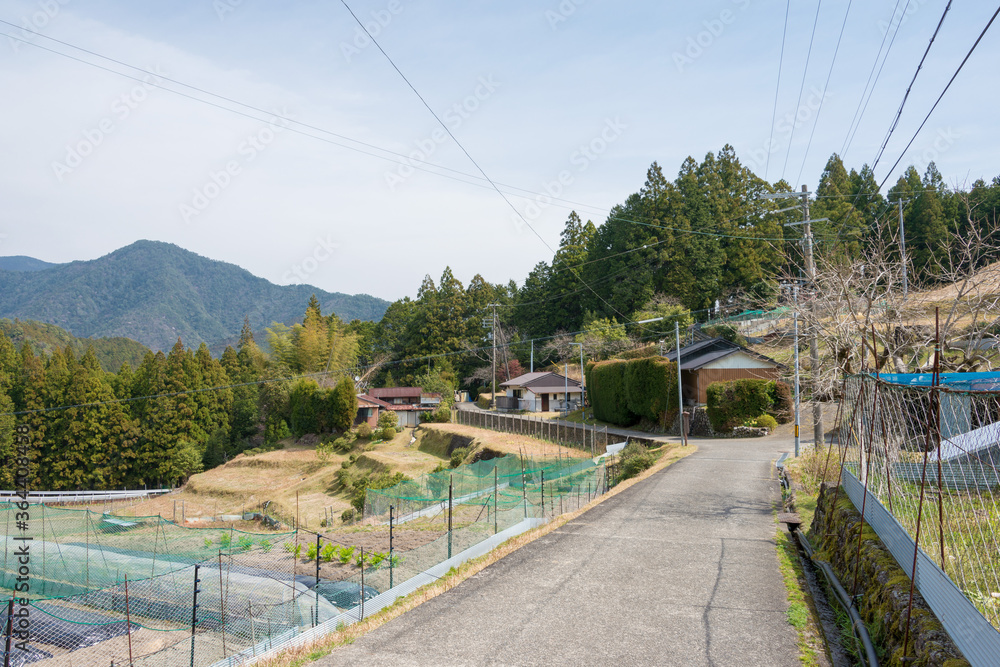 Between Hosshinmon-oji and Mizunomi-oji on Kumano Kodo (Nakahechi Route) in Tanabe, Wakayama, Japan. It is part of the UNESCO World Heritage Site. Between Hosshinmon-oji and Mizunomi-oji on Kumano Kodo (Nakahechi Route) in Tanabe, Wakayama, Japan. It is part of the UNESCO World Heritage Site.