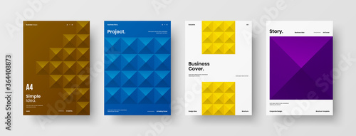 Company identity brochure template collection. Business presentation vector A4 vertical orientation front page mock up set. Corporate report cover abstract geometric illustration design layout bundle.