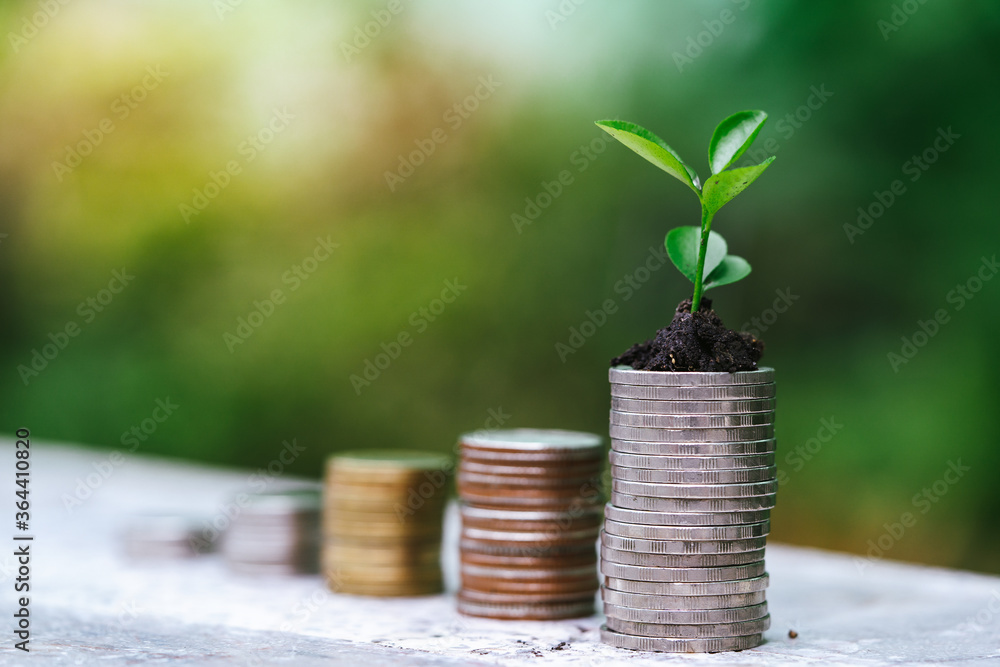 The growth of plants on the pile of coins, increased investment, saving ideas and investing in business The growth of plants on the pile of coins, increased investment, saving ideas and investing in business