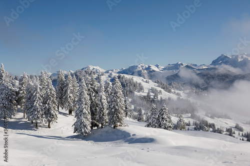 Wallpaper Mural Fantastic winter landscape on the Rotenflue in central Switzerland Torontodigital.ca
