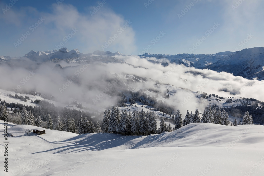 Winter landscape with fog towards Ibergeregg in central Switzerland