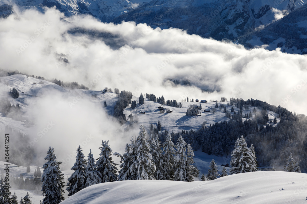 Winter landscape with fog towards Ibergeregg and Moutathal in central Switzerland