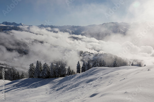 Winter landscape with fog towards Ibergeregg in central Switzerland © Fredy Thürig