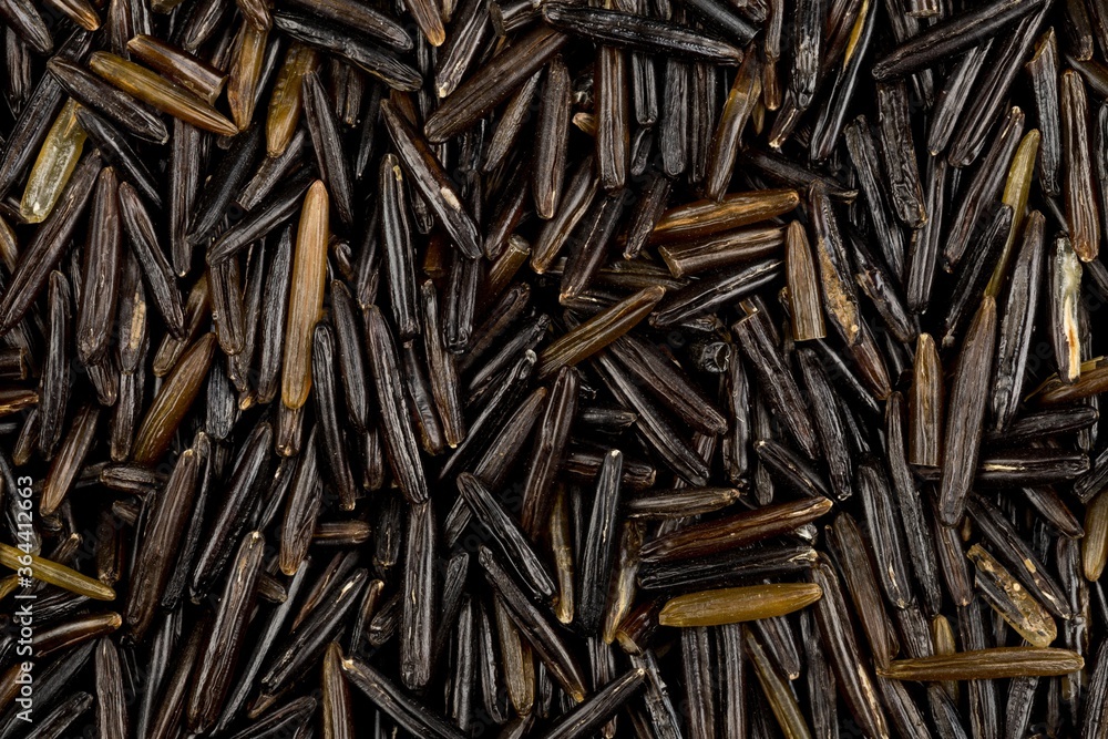 Macro close up of uncooked, raw, black wild rice grains texture flat lay top view Macro close up of uncooked, raw, black wild rice grains texture flat lay top view