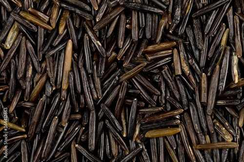 Macro close up of uncooked, raw, black wild rice grains texture flat lay top view