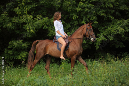 Beautiful young girl with blond hair in a jacket with a shorts, smiling and riding her horse. Equestrian, lifestyle.