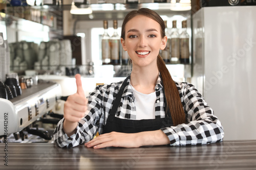 Young female barista at wor...