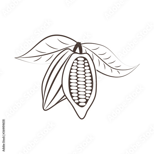 Doodle cocoa icon isolated on white. Hand drawing line art. Chocolate food. Sketch vector stock illustration. EPS 10