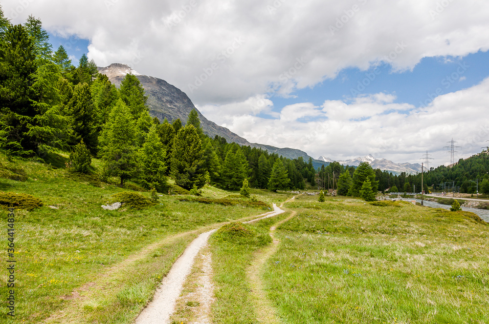 Val Bernina, Berninatal, Ova da Bernina, Bergbach, Wanderweg, Oberengadin, Passstrasse, Berninapass, Pontresina, Alpen, Sommer, Graubünden, Schweiz