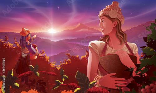 Vector illustration of the western lady digital nomad helping a tribe lady harvesting the coffee beans on a high altitude mountain in the morning.