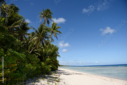 Sunny deserted tropical sandy beach with coconut trees and clear blue seas in Guam, Micronesia